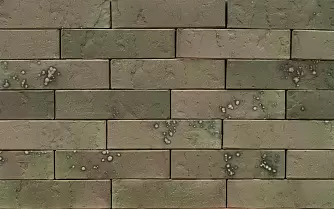 Кирпич облицовочный (промо) BRAER PRO T 7.03, 1,0НФ в "Строй-Ресурсе" Кирпич облицовочный (промо) BRAER PRO T 7.03, 1,0НФ купить в "Строй-Ресурсе"